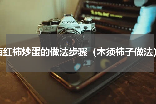 西红柿炒蛋的做法步骤（木须柿子做法）