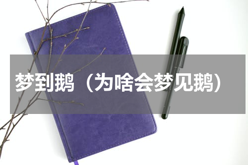 梦到鹅（为啥会梦见鹅）