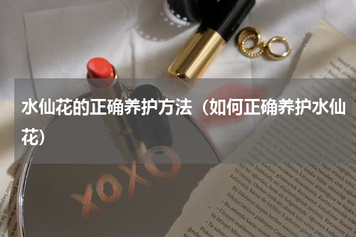 水仙花的正确养护方法（如何正确养护水仙花）