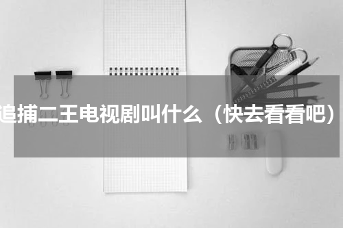 追捕二王电视剧叫什么（快去看看吧）
