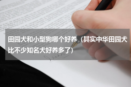 田园犬和小型狗哪个好养（其实中华田园犬比不少知名犬好养多了）