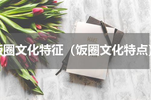 饭圈文化特征（饭圈文化特点）