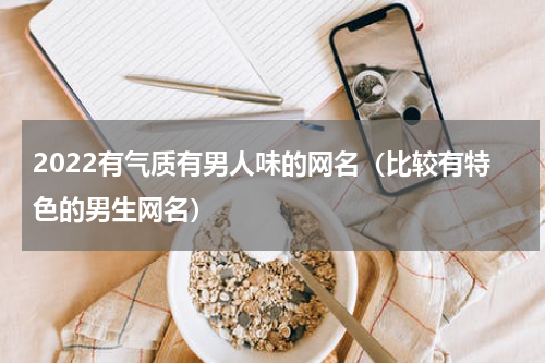 2022有气质有男人味的网名（比较有特色的男生网名）