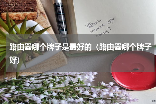 路由器哪个牌子是最好的（路由器哪个牌子好）