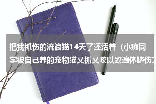 把我抓伤的流浪猫14天了还活着（小痴同学被自己养的宠物猫又抓又咬以致遍体鳞伤之后）