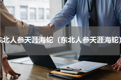 东北人参天涯海蛇（东北人参天涯海蛇）