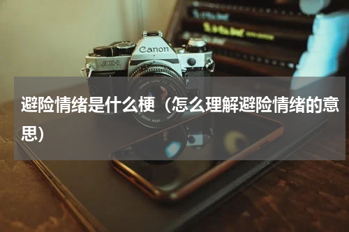 避险情绪是什么梗（怎么理解避险情绪的意思）