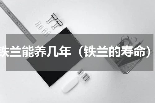 铁兰能养几年（铁兰的寿命）