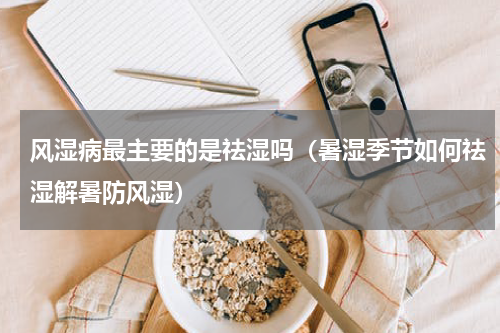 风湿病最主要的是祛湿吗（暑湿季节如何祛湿解暑防风湿）