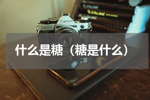 什么是糖（糖是什么）