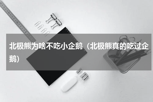 北极熊为啥不吃小企鹅（北极熊真的吃过企鹅）