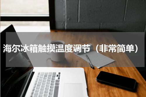 海尔冰箱触摸温度调节（非常简单）