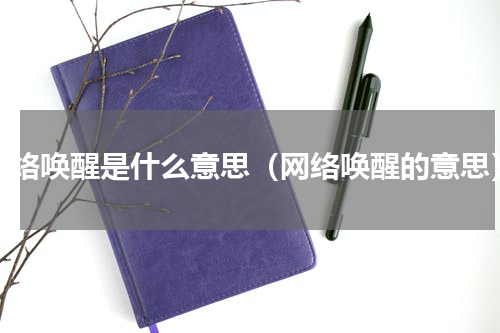 网络唤醒是什么意思（网络唤醒的意思）