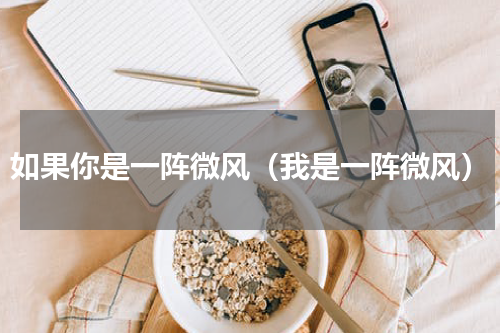 如果你是一阵微风（我是一阵微风）