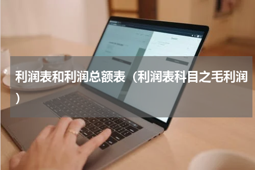 利润表和利润总额表（利润表科目之毛利润）