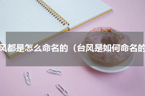 台风都是怎么命名的（台风是如何命名的）