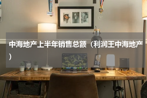 中海地产上半年销售总额（利润王中海地产）