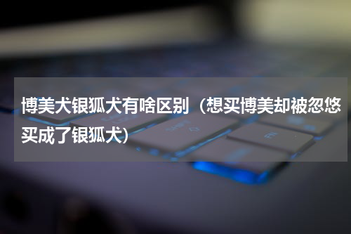 博美犬银狐犬有啥区别（想买博美却被忽悠买成了银狐犬）