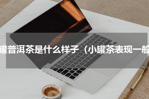 小罐普洱茶是什么样子（小罐茶表现一般）