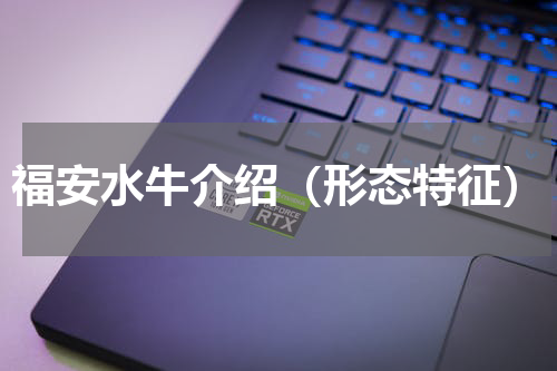 福安水牛介绍（形态特征）