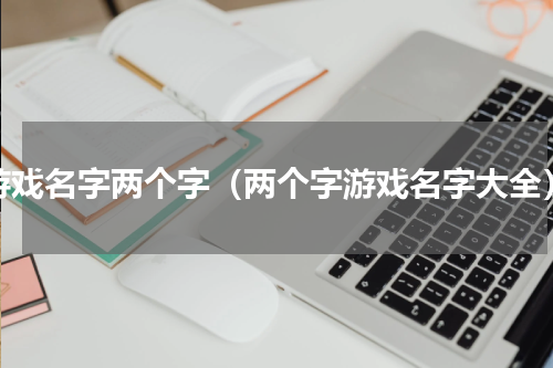 游戏名字两个字（两个字游戏名字大全）