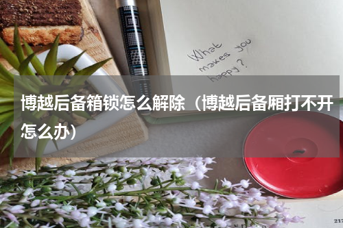 博越后备箱锁怎么解除（博越后备厢打不开怎么办）