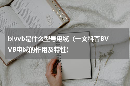 blvvb是什么型号电缆（一文科普BVVB电缆的作用及特性）