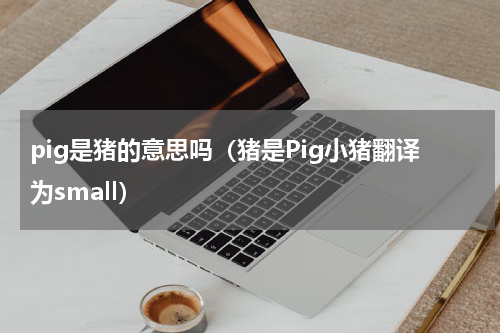 pig是猪的意思吗（猪是Pig小猪翻译为small）