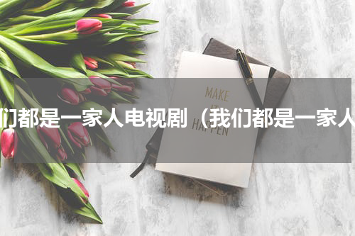 我们都是一家人电视剧（我们都是一家人）