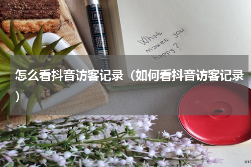 怎么看抖音访客记录（如何看抖音访客记录）