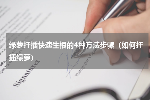 绿萝扦插快速生根的4种方法步骤（如何扦插绿萝）