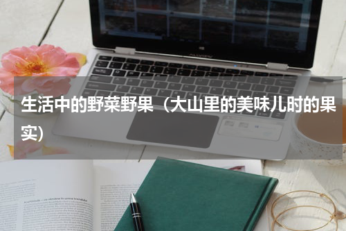 生活中的野菜野果（大山里的美味儿时的果实）