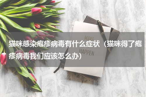 猫咪感染疱疹病毒有什么症状（猫咪得了疱疹病毒我们应该怎么办）