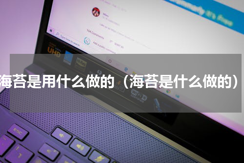 海苔是用什么做的（海苔是什么做的）