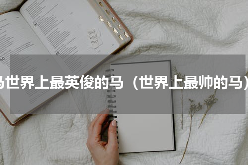 马世界上最英俊的马（世界上最帅的马）