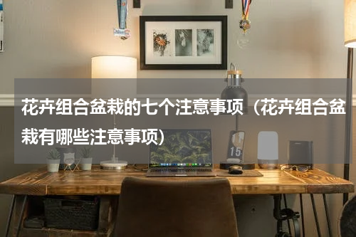 花卉组合盆栽的七个注意事项（花卉组合盆栽有哪些注意事项）