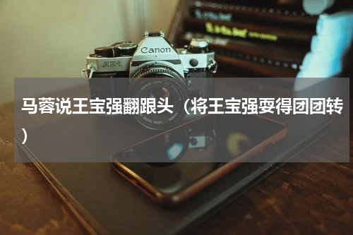 马蓉说王宝强翻跟头（将王宝强耍得团团转）