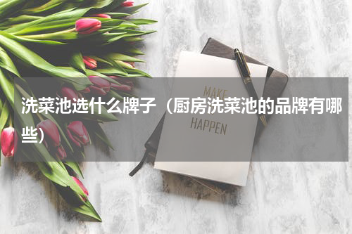 洗菜池选什么牌子（厨房洗菜池的品牌有哪些）