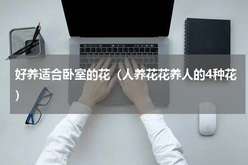 好养适合卧室的花（人养花花养人的4种花）