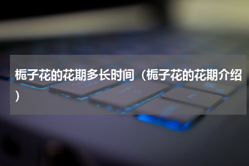 栀子花的花期多长时间（栀子花的花期介绍）