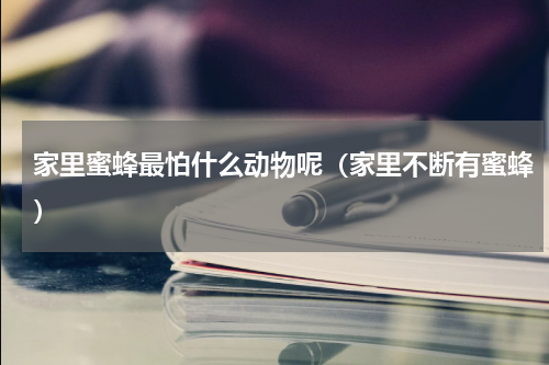 家里蜜蜂最怕什么动物呢（家里不断有蜜蜂）