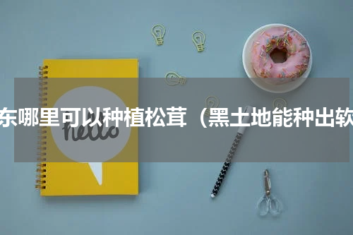 山东哪里可以种植松茸（黑土地能种出软）