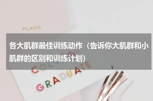 各大肌群最佳训练动作（告诉你大肌群和小肌群的区别和训练计划）