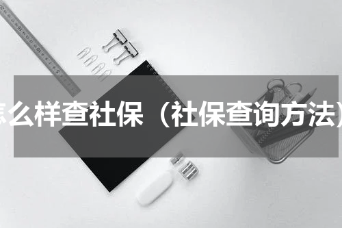 怎么样查社保（社保查询方法）
