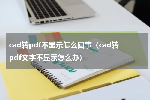 cad转pdf不显示怎么回事（cad转pdf文字不显示怎么办）