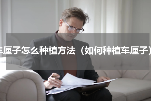 车厘子怎么种植方法（如何种植车厘子）