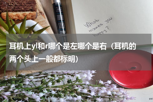 耳机上yl和r哪个是左哪个是右（耳机的两个头上一般都标明）