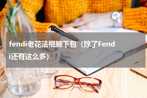 fendi老花法棍腋下包（除了Fendi还有这么多）