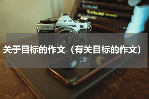 关于目标的作文（有关目标的作文）