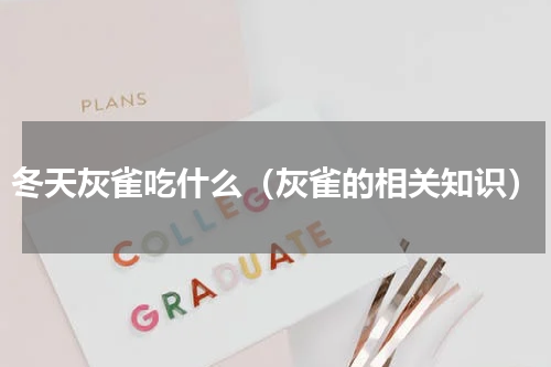 冬天灰雀吃什么（灰雀的相关知识）
